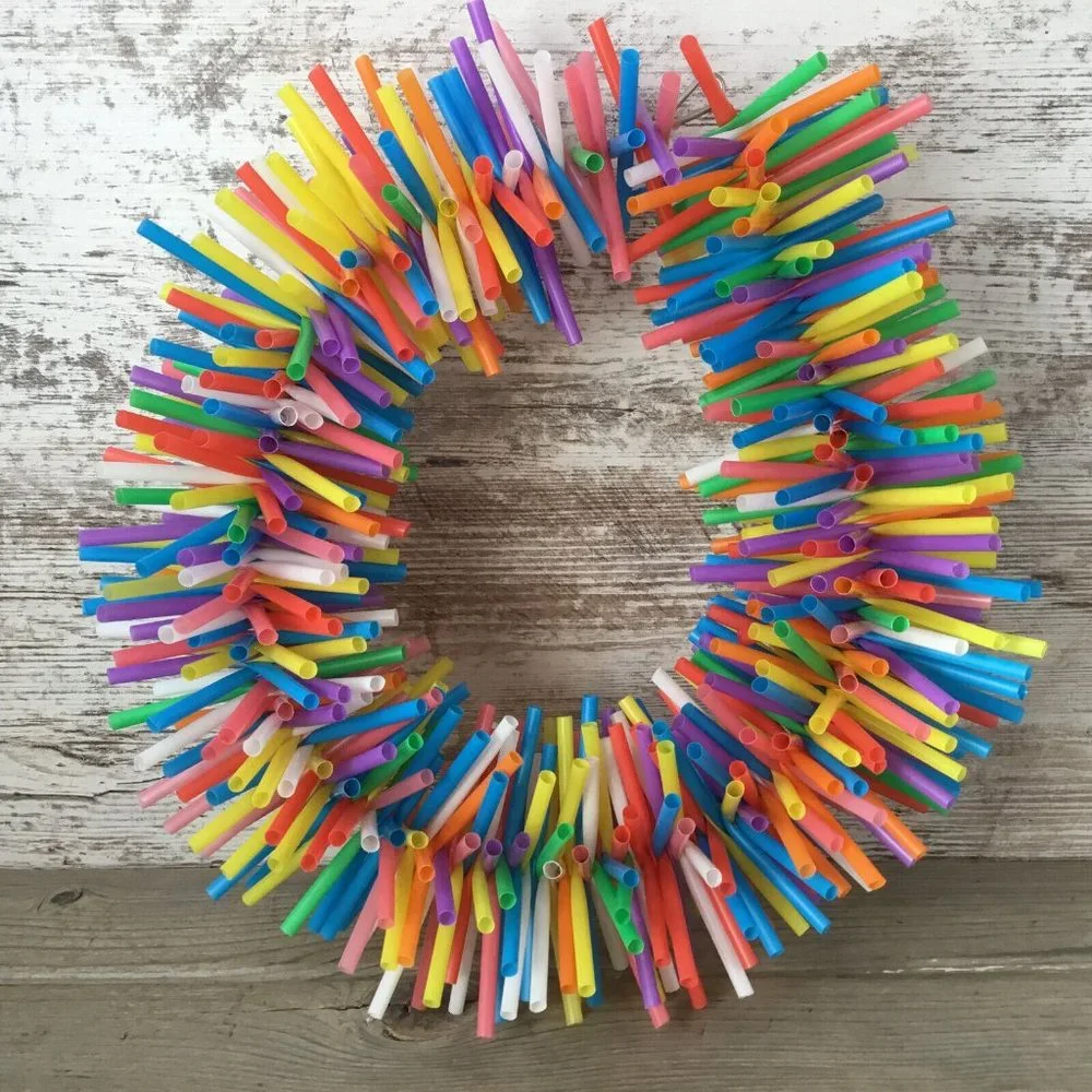 Macaw Cockatoo Silly Sid Straw Wreath Large Bird Toy - Shredding Toy